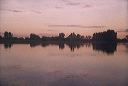 kakadu